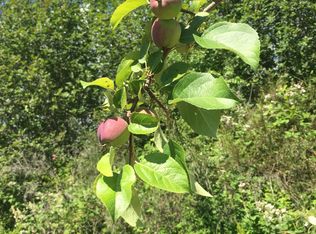 1215 Cleveland Ave, Santa Rosa, CA 95401