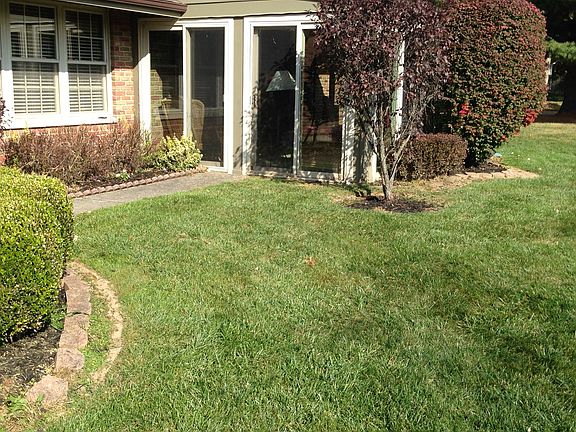 4th image of 334 Silvertree Ln