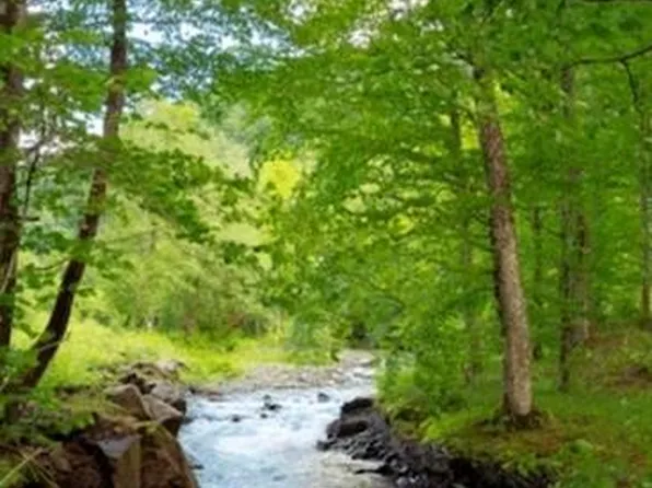 Troudale Hwy, Troutdale, VA 24378