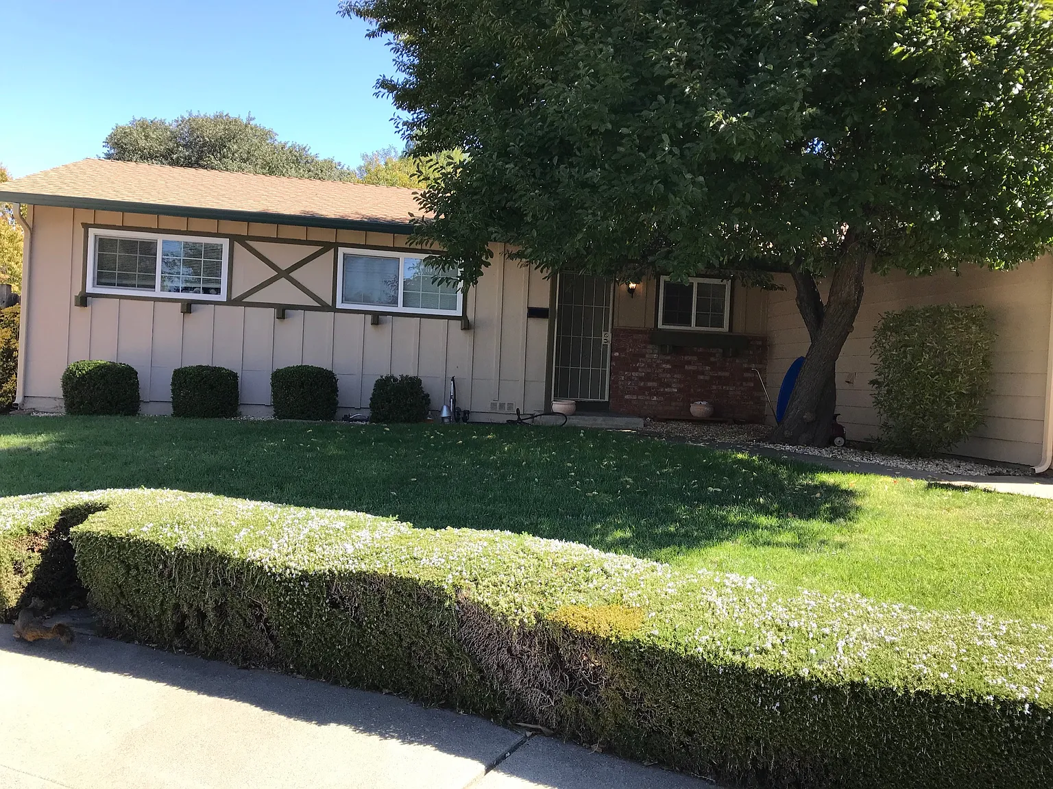 5013 Jeri Pl photo 1