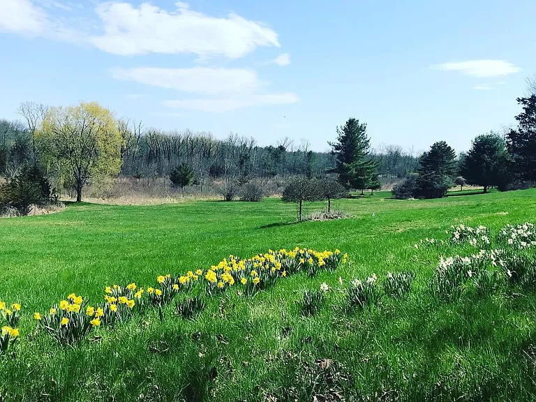 Spring view of fields from outdoor sitting area
