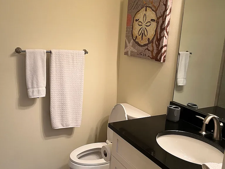 Guest Bath
