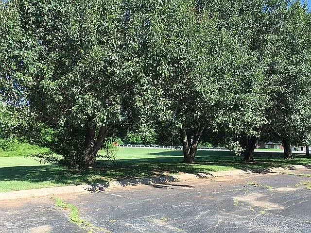 Haynes Manor — Photo 1