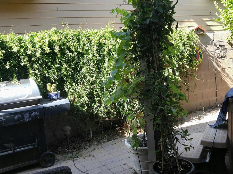 1st image of 4422 N Sycamore Dr