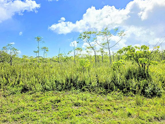 4th image of Pohoiki Kalapana Rd