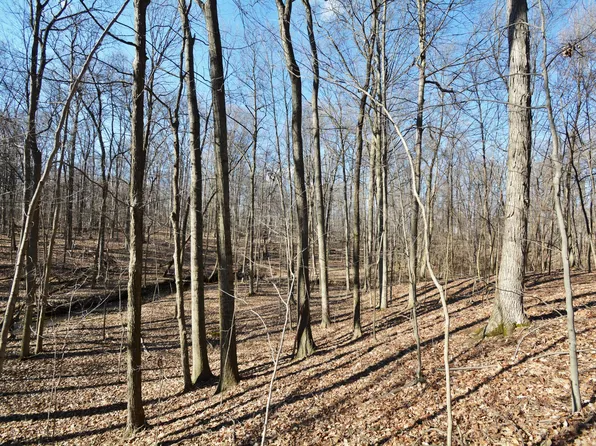 4971-1 Township Road 191, Marengo, OH 43334