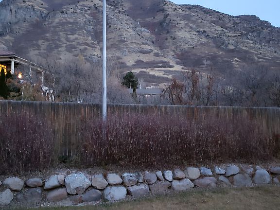 Backyard from french doors