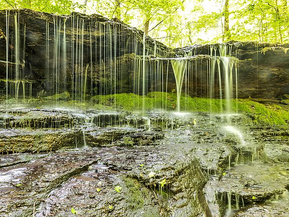 23rd image of this home