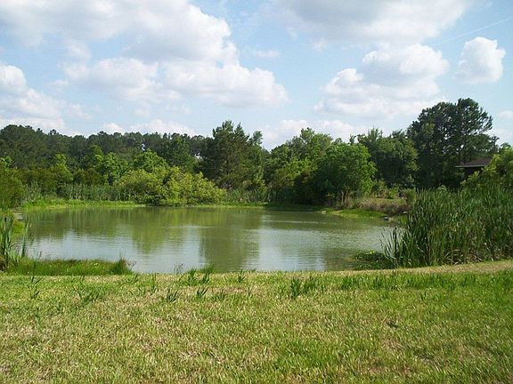 Pond