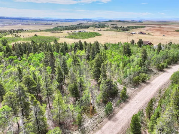 242 Green Bottle Circle, Fairplay, CO 80440