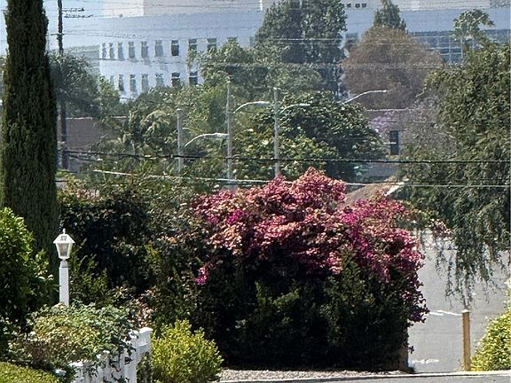 3rd image of 140 Primrose Ave