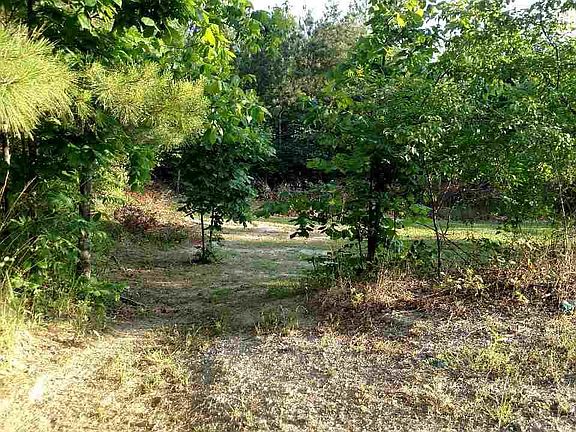 4th image of 535 Parkwood Ln