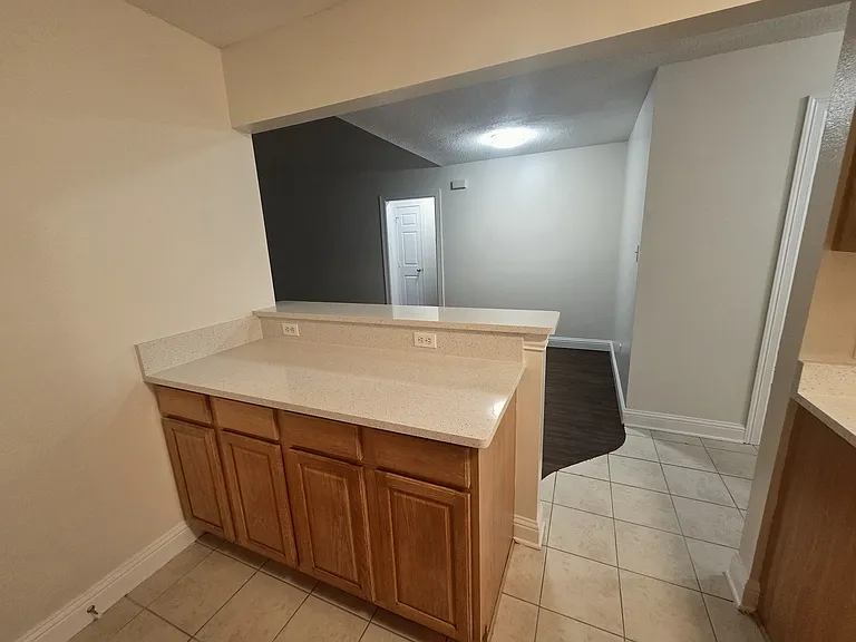 3806 Morning Springs Trl — Photo 9