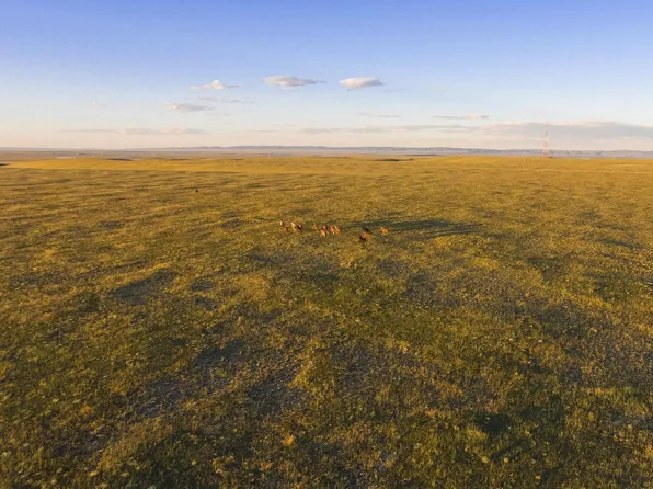 122 Wild Horse Rd, Laramie, WY 82070