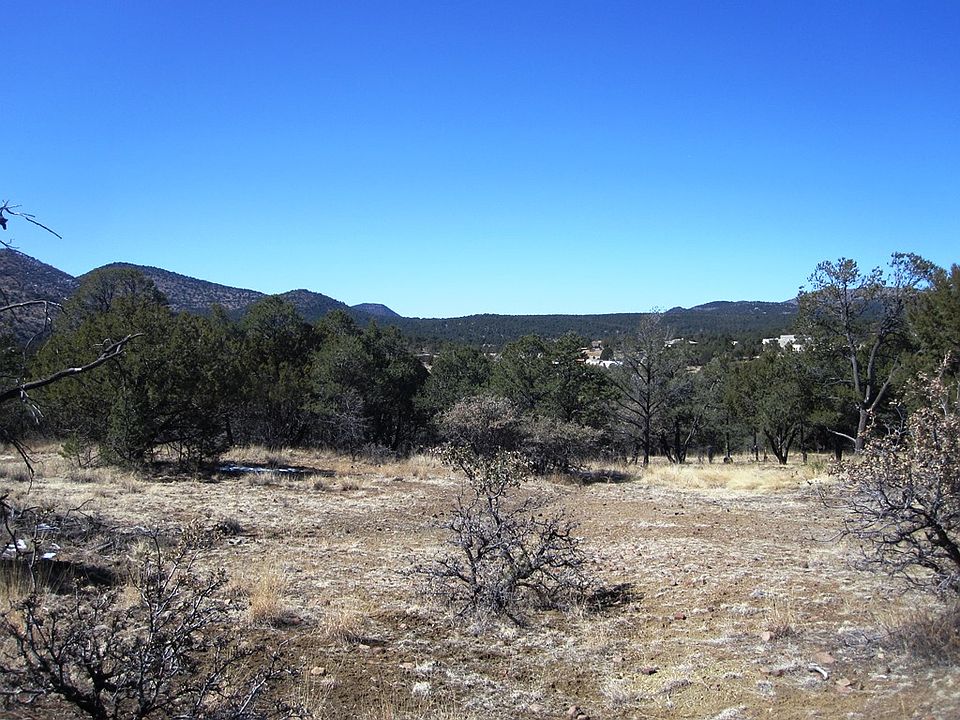 1st image of Lot 65 Swan