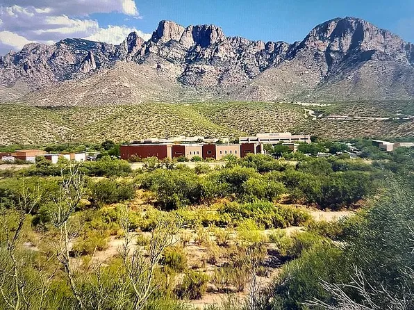 11310 N Flying Bird Dr, Tucson, AZ 85737