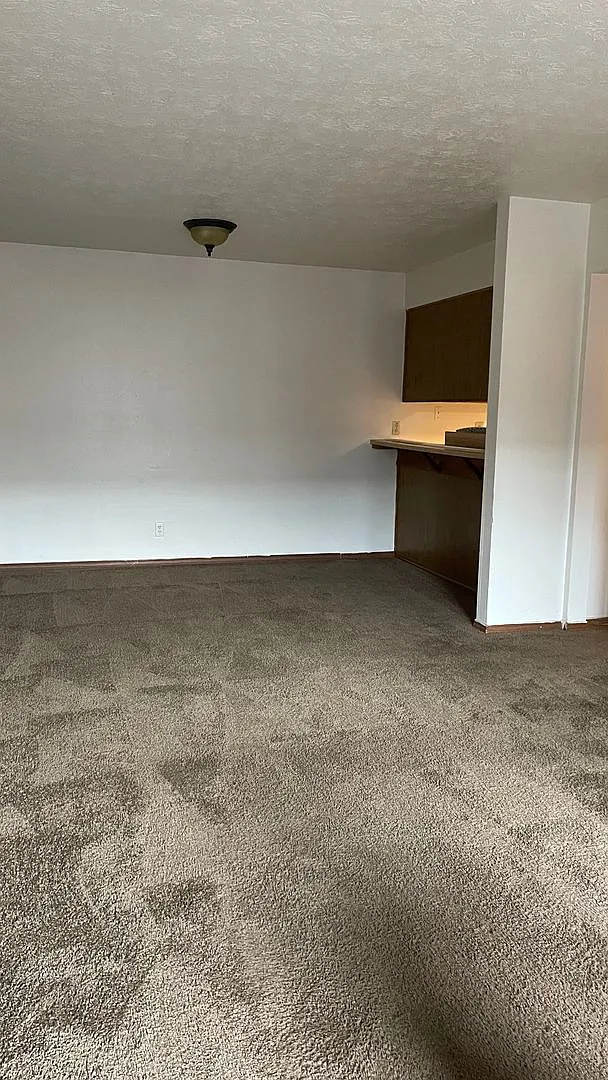 3 Bedroom Apartment Near Campus — Photo 2