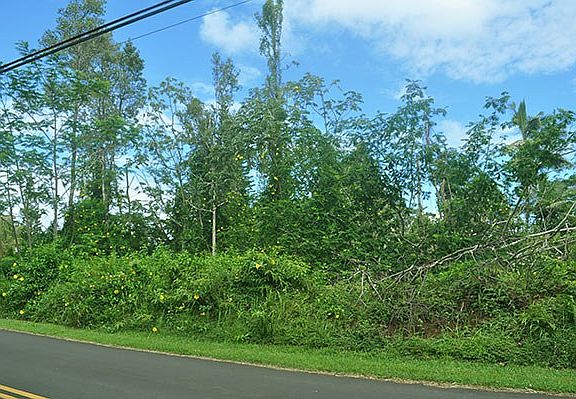 2nd image of N Puni Mauka Loop