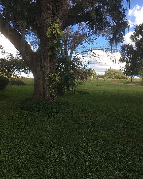 2nd image of 10935 Fort King Rd