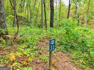 31 Skyview Dr, Hayesville, NC 28904