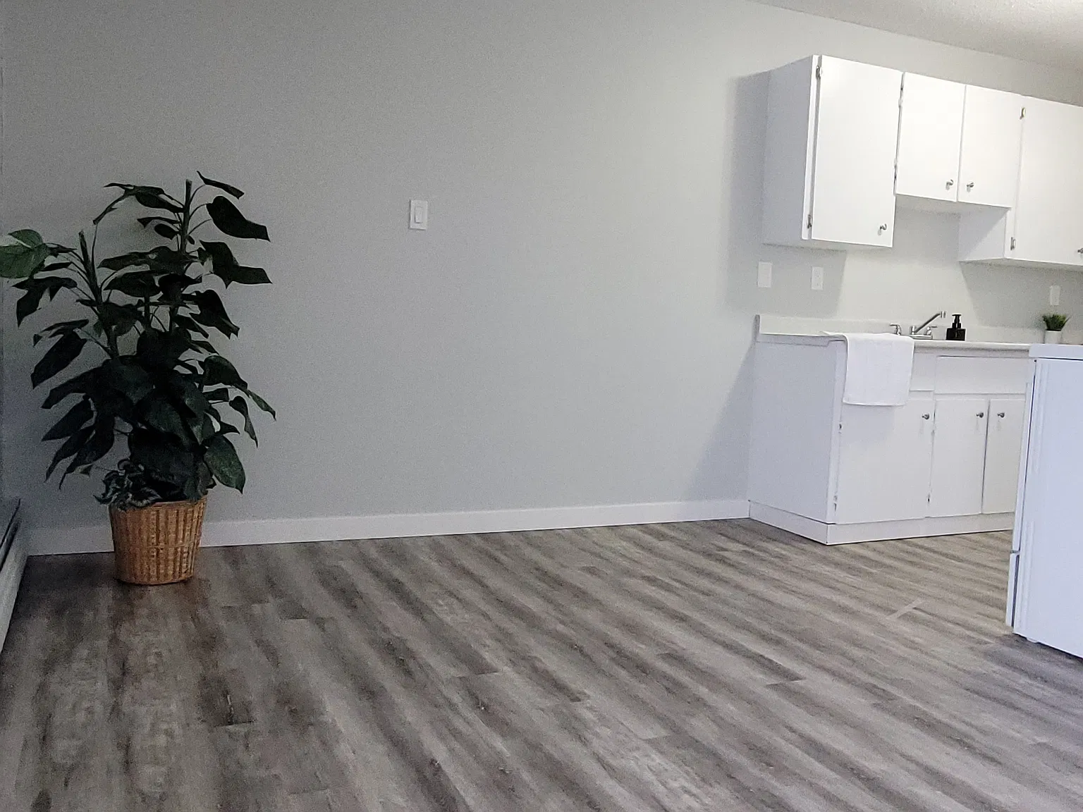 Rosewood — Photo 3