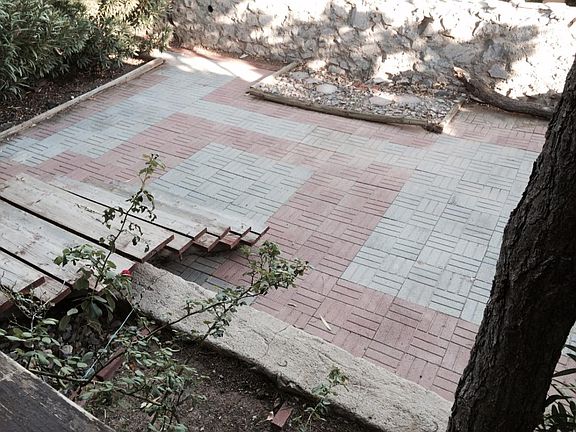 back yard