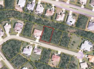 11 Buffalo Berry Pl, Palm Coast, FL 32137