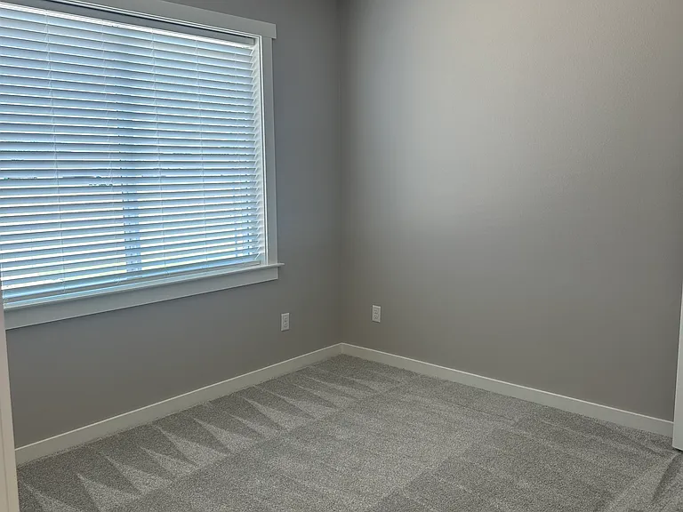 5038 Shefflera Dr — Photo 22