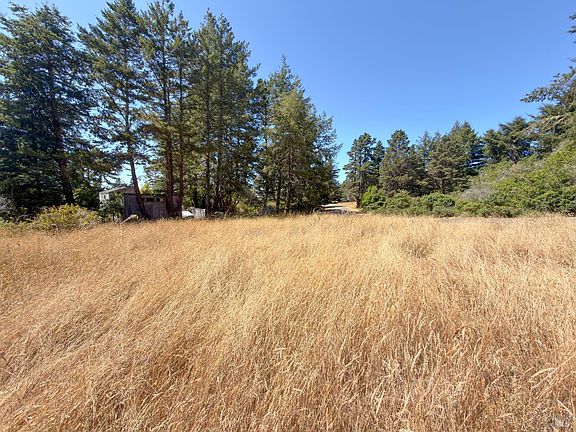 3rd image of 35515 Timber Ridge Road
