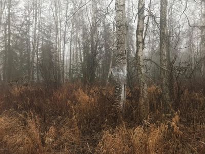 18924 W Willow Cir, Willow, AK, 99688