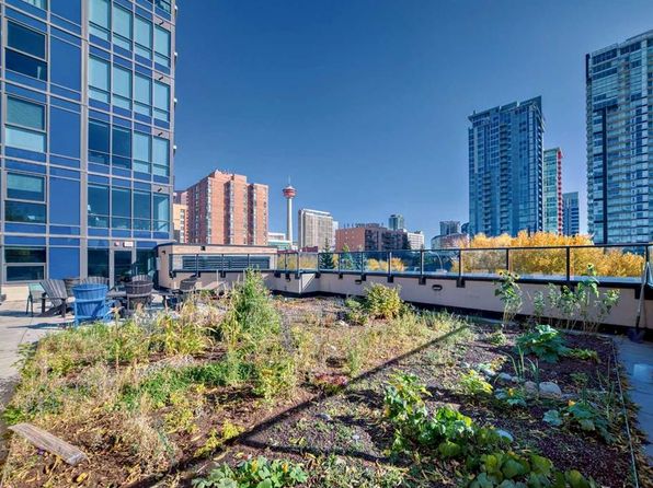 303 N 13th Ave SW #310, Calgary, AB T2R 0Y9