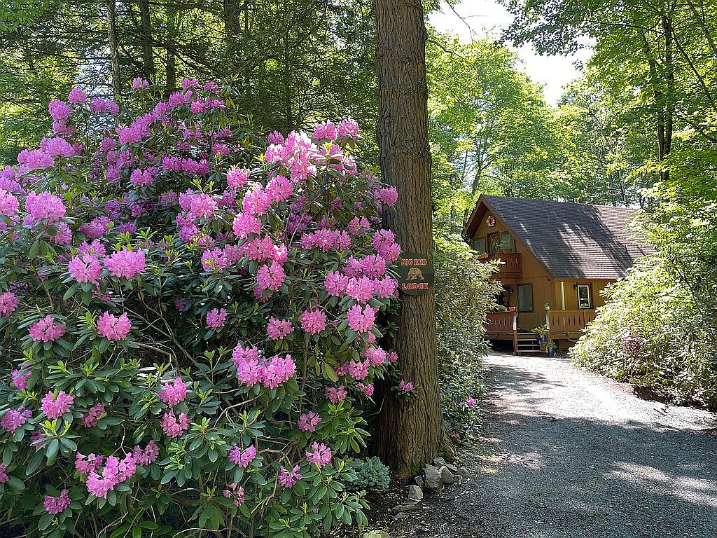 237 Split Rock Ln, Pocono Pines, PA 18350 Zillow