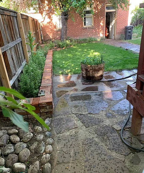 back yard