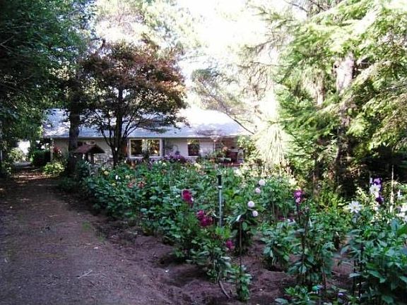 Garden & Road Into Back