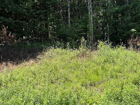 2nd image of TBD Chestnut Creek Road