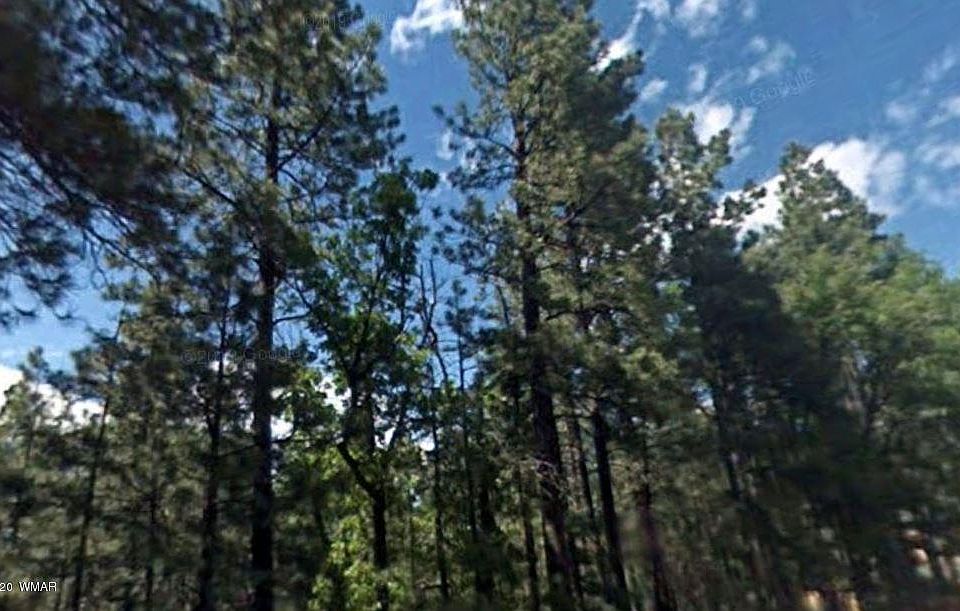 1st image of 6166 Paradise Pine Ln