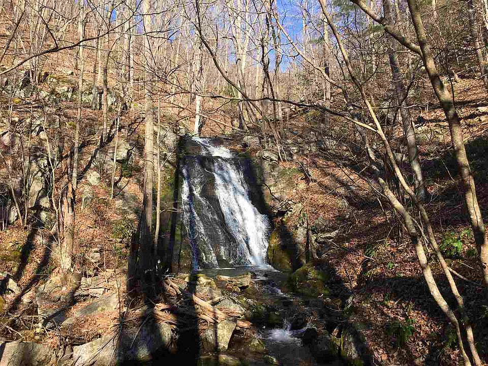 12200 Crabtree Falls Hwy, Tyro, VA 22976 Zillow