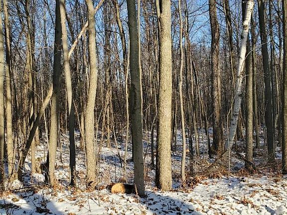 4th image of 13 Acres Sand Road