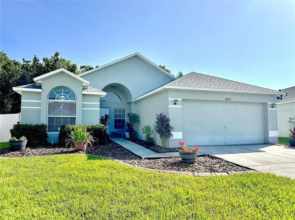 25253 Geddy Dr, Land O Lakes, FL 34639