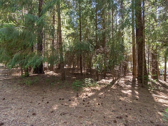 4th image of 5167 Golden Aspen Dr