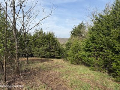 715 Devin Dr, Bedford, KY, 40006