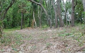 4th image of 1356 N Shady Ln