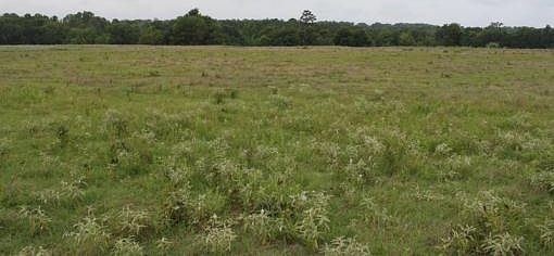 5th image of 2187 E Fm 323