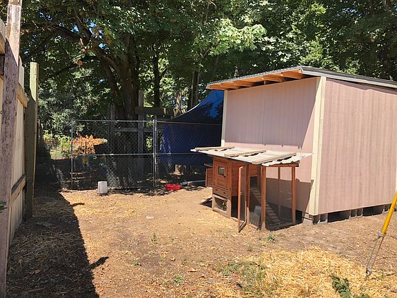 New chicken coop