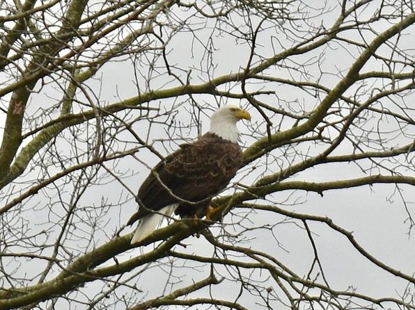 2060 E Waters Edge Dr #18