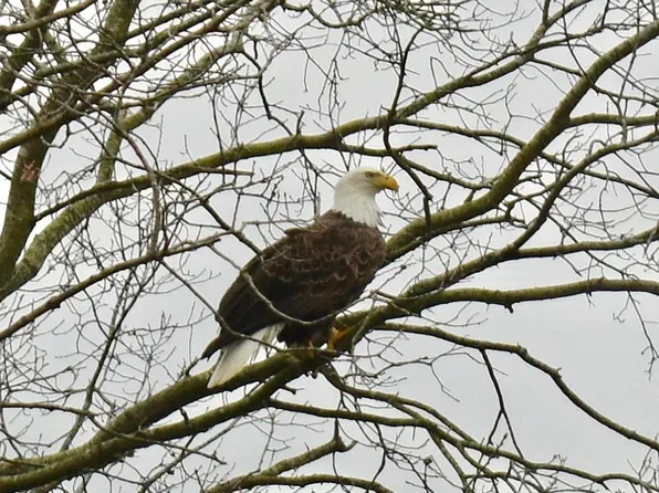 2060 E Waters Edge Dr #18, Bloomington, IN 47401