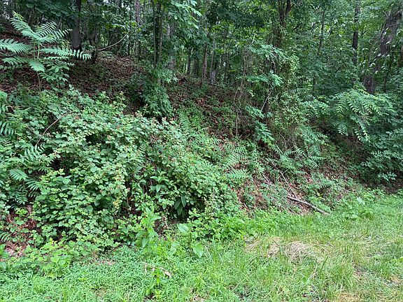 3rd image of 0 Waywood Hill Dr