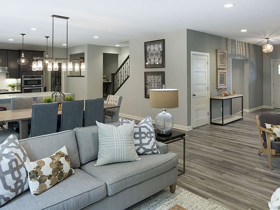 Model Representation