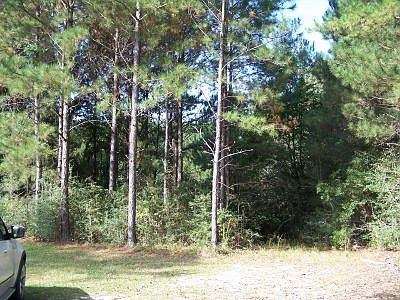 2nd image of 635 Riley Rd