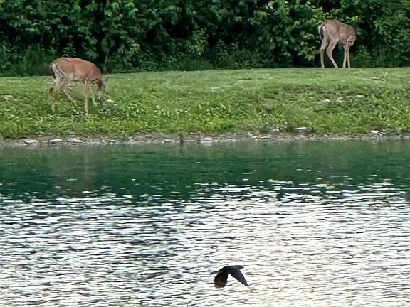 9th image of this home